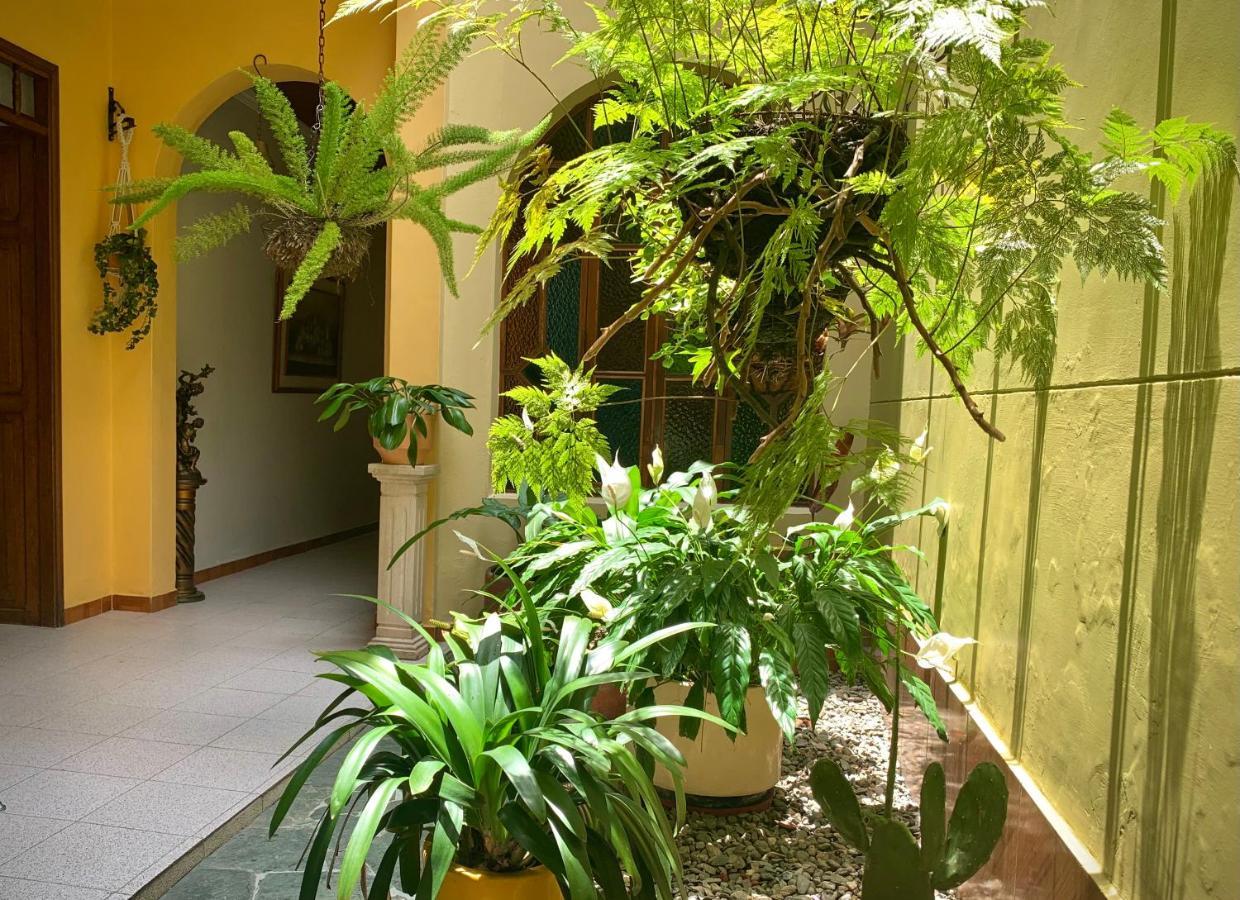Casa Grande Daire Medellín Dış mekan fotoğraf