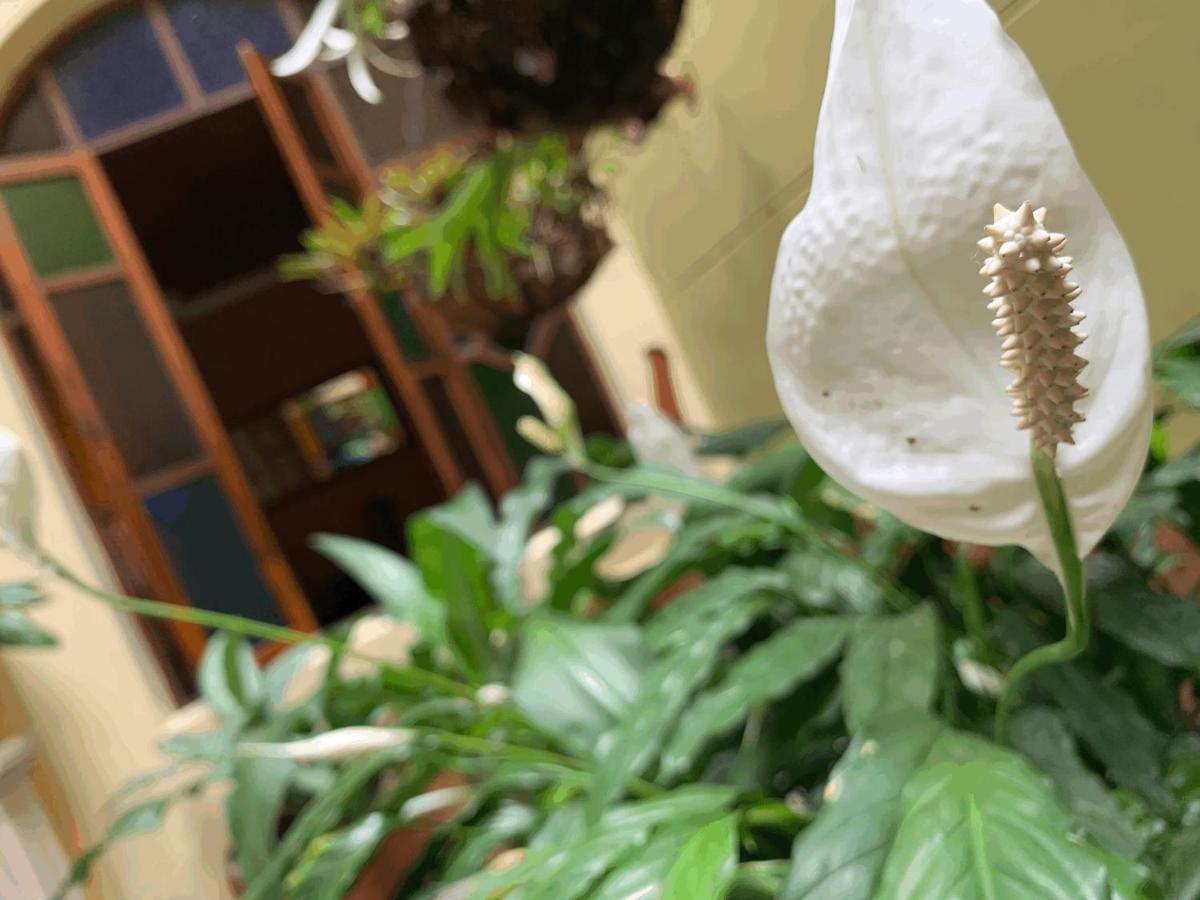 Casa Grande Daire Medellín Dış mekan fotoğraf