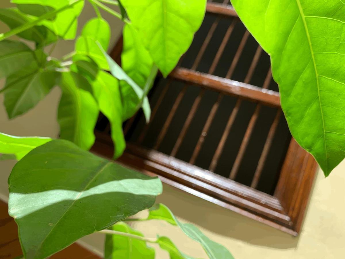 Casa Grande Daire Medellín Dış mekan fotoğraf