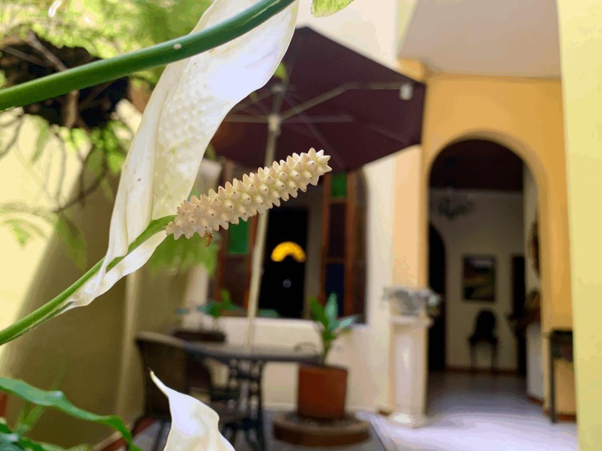 Casa Grande Daire Medellín Dış mekan fotoğraf