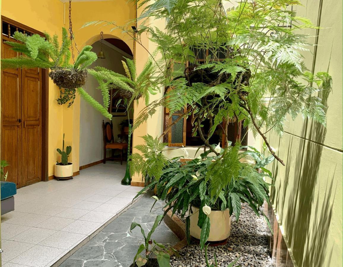 Casa Grande Daire Medellín Dış mekan fotoğraf
