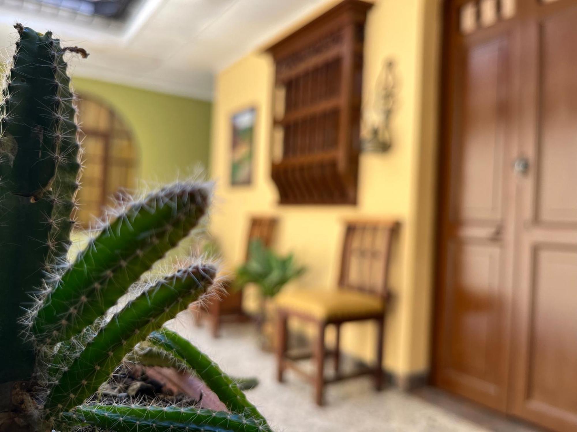 Casa Grande Daire Medellín Dış mekan fotoğraf